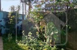 Design sem nome - 2025-07-21T161223.749