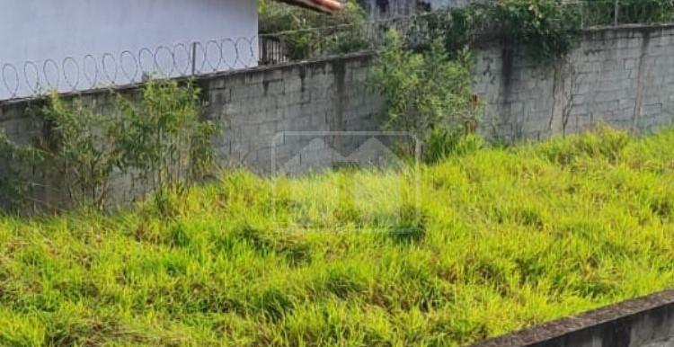 Design sem nome - 2025-07-24T141833.181