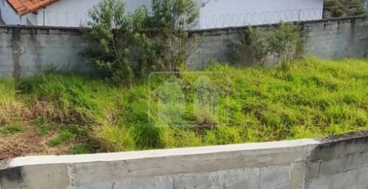 Design sem nome - 2025-07-24T142053.076